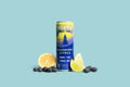 NORTH Higher Vibes Blueberry Citrus 5mg THC 10mg CBD 12 oz